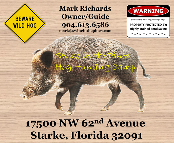 Contact Swine In The Pines