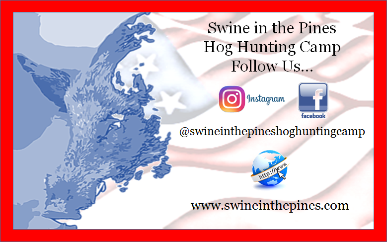 Follow Swine In The Pines